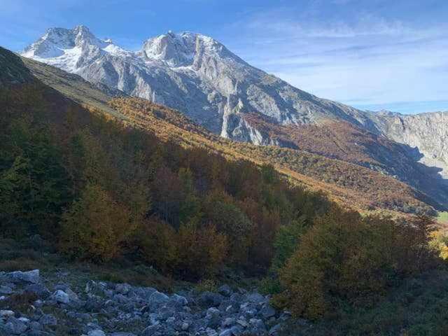 Cumbres De Los Picos Apartamento La Yedra Poo  Luaran gambar